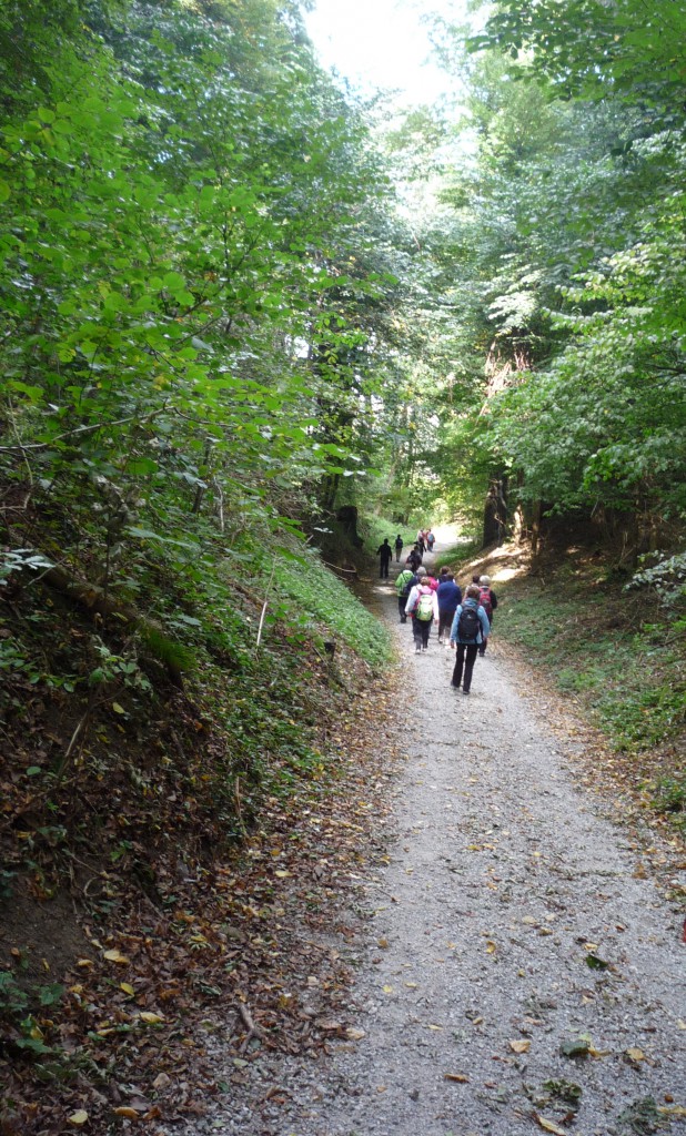 Besinnliche Wanderung "Im Blauen Land"