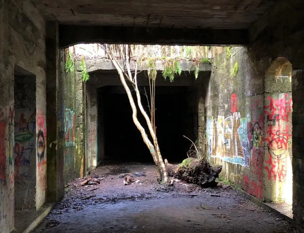 Bunker und Pingenfelder am Wehringer Leitenberg