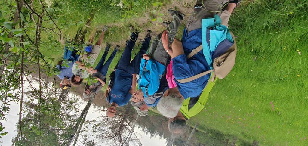 Schachbrettfalter auf der Suche nach der pinken Farbenpracht