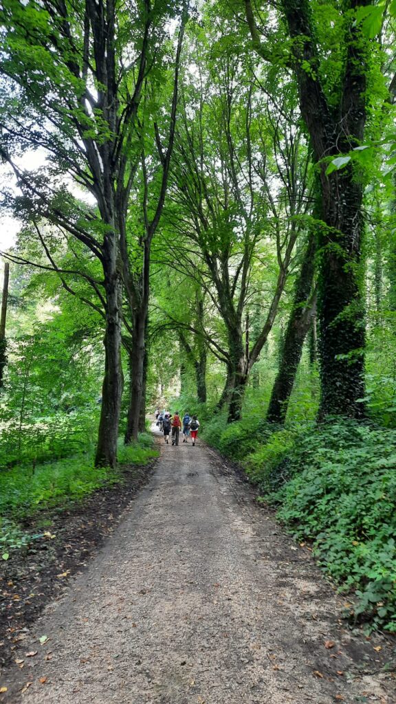 Romantische Wanderung durchs Bärenbachtal