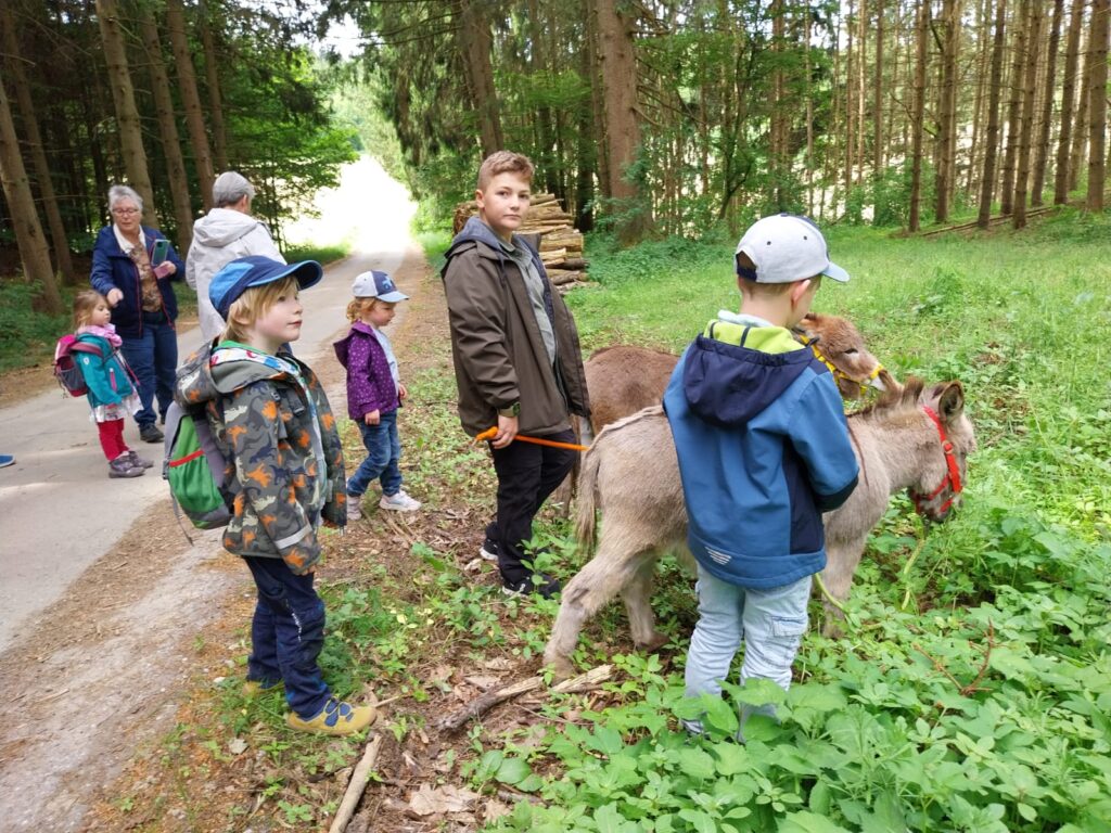 Esel, Hühner, Hasen- und wir mitten drin!